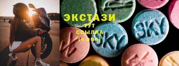 ECSTASY Богородицк