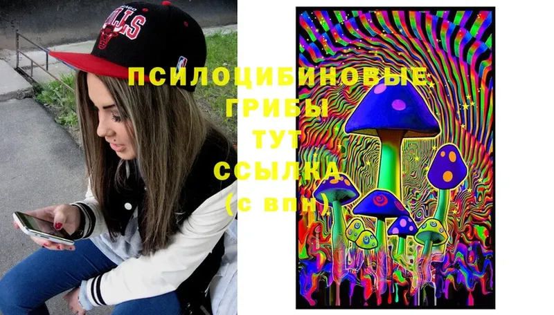 Псилоцибиновые грибы Psilocybe  Мамадыш 